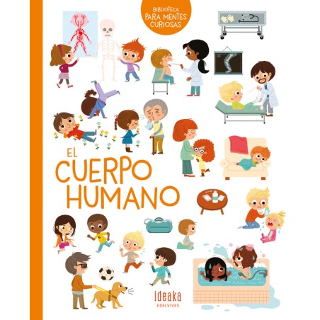 EL CUERPO HUMANO