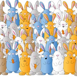 Demasia2 Conejos