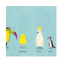 PAJARO AMARILLO