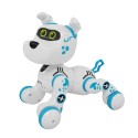 Xtreme Bots - Bobby