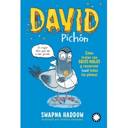 David Pichón
