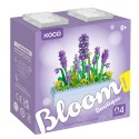 Koco Fresh flower - Lavender 239 pieza