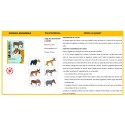 Cartas Anijumble