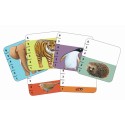 Cartas Batanimo
