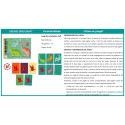 Cartas Dino Draft FSC