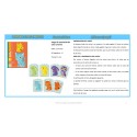Cartas Little Match
