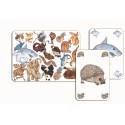 Cartas Zanimatch