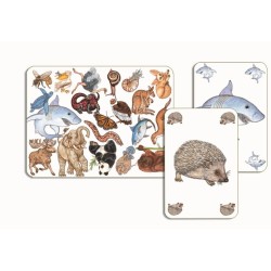Cartas Zanimatch