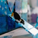 MAGNA-T Arctic Animals Set 25pcs