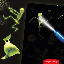 PintaFluo A3