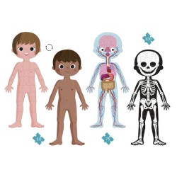 PUZZLE 100 PIEZAS - CUERPO HUMANO