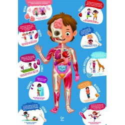 Puzle Cuerpo Humano
