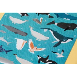 Animal World - Poster & Stickers