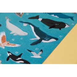 Animal World - Poster & Stickers