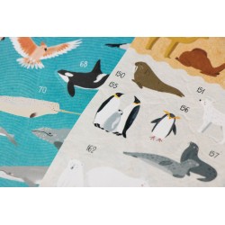 Animal World - Poster & Stickers