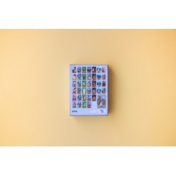 Card game- Animals Big Band