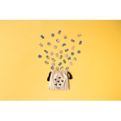 Pocket puzzle - Discover the World