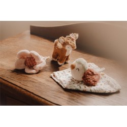 Caja regalo Fairy Garden - Little Dutch