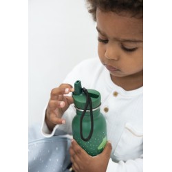 Botella 500ml - Mr. Crocodile