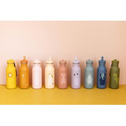Botella 500ml - Mr. Lion