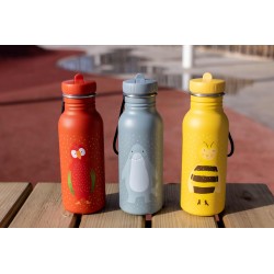 Botella 500ml - Mr. Parrot