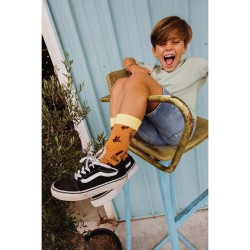 Calcetines - GROOVY - Hello Hossy