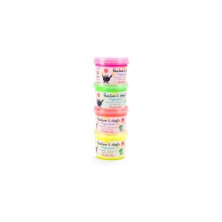 Pintura fluorescente 4 botes -  Schmouks Moulin Roty