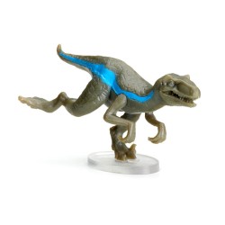 Raptor Race