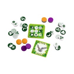 Bingo - Animales del mundo