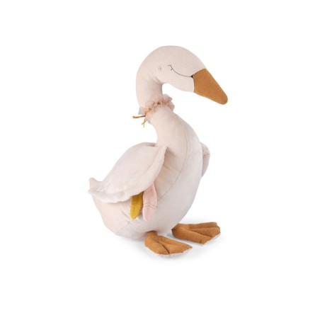 Cisne de actividades - Moulin Routy
