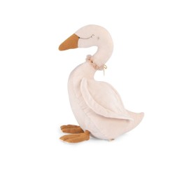 Cisne de actividades - Moulin Routy