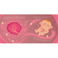 Nace un bebé - ¿Qué pasa dentro de la barriga de mamá?