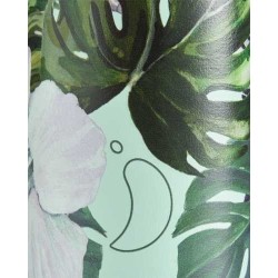Botella Chilly´s  - Monstera 500 ml.